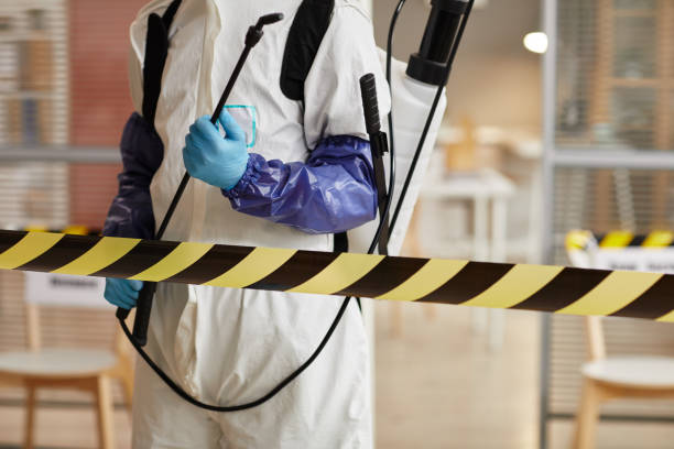 Professional Blood Cleanup technician working in Forestville, MD